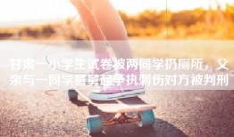 甘肃一小学生试卷被两同学扔厕所，父亲与一同学舅舅起争执刺伤对方被判刑