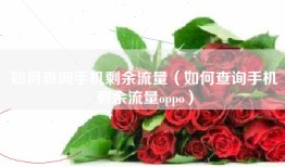 如何查询手机剩余流量（如何查询手机剩余流量oppo）