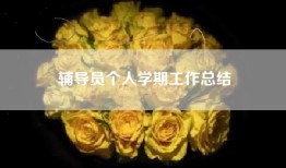 辅导员个人学期工作总结