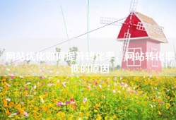 网站优化如何提升转化率，网站转化率低的原因