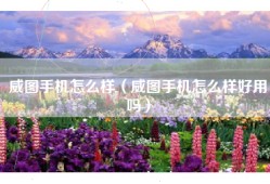威图手机怎么样（威图手机怎么样好用吗）