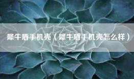 犀牛盾手机壳（犀牛盾手机壳怎么样）