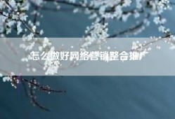 怎么做好网络营销整合推广