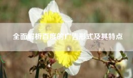 全面解析百度的广告形式及其特点