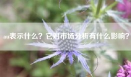 au表示什么？它对市场分析有什么影响？