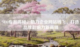 SEO专员揭秘，助力企业网站腾飞，打造品牌影响力新高峰