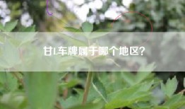 甘L车牌属于哪个地区？