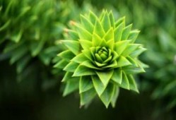 小米汽车卖一辆亏三万？账可不是这么算的