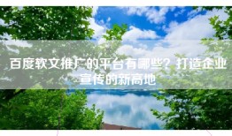 百度软文推广的平台有哪些？打造企业宣传的新高地
