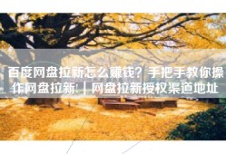 百度网盘拉新怎么赚钱？手把手教你操作网盘拉新!｜网盘拉新授权渠道地址