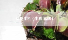 逼格手机（手机 高端）