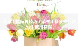 苹果手机玩机技巧（苹果手机使用方法入门 使用教程）