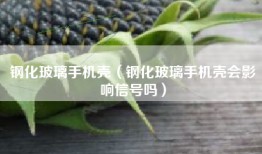 钢化玻璃手机壳（钢化玻璃手机壳会影响信号吗）
