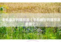 手机最好的播放器（手机最好的播放器是哪个）