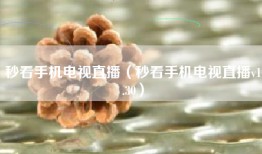 秒看手机电视直播（秒看手机电视直播v1.30）