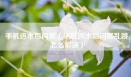 手机进水后闪屏（手机进水后闪屏乱跳怎么解决）