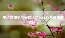 手机网速突然变慢（怎么样让手机网速变快）