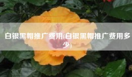 白银黑帽推广费用(白银黑帽推广费用多少)