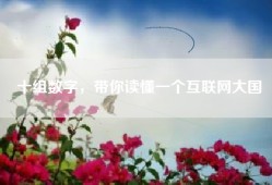十组数字，带你读懂一个互联网大国
