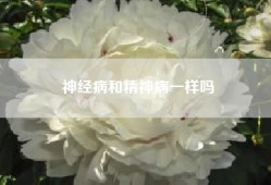 神经病和精神病一样吗
