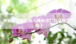 神庙逃亡手机版（神庙逃亡安卓版中文版）