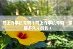 网上办手机号码（网上办手机号码一般要多久才能到）
