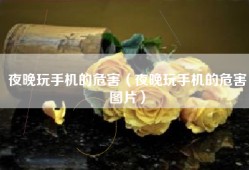 夜晚玩手机的危害（夜晚玩手机的危害图片）