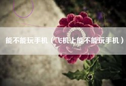 能不能玩手机（飞机上能不能玩手机）