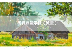 免费流量手机（流量）