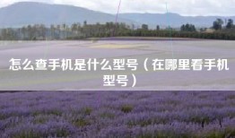 怎么查手机是什么型号（在哪里看手机型号）