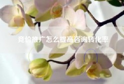 竞价推广怎么提高咨询转化率