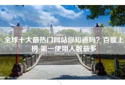 全球十大最热门网站你知道吗？百度上榜 第一使用人数最多
