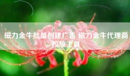 磁力金牛批量创建广告 磁力金牛代理商投放工具