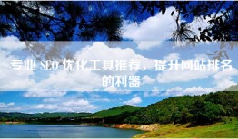 专业 SEO 优化工具推荐，提升网站排名的利器