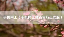 手机网上（手机网上赚钱官方正式版）