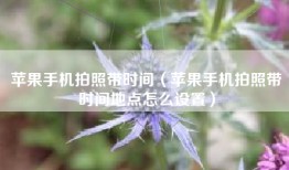 苹果手机拍照带时间（苹果手机拍照带时间地点怎么设置）