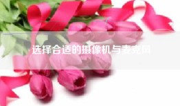 选择合适的摄像机与麦克风