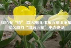 绿色充“植” 激活蒙山 山东沂蒙山龟蒙景区助力“绿满沂蒙”生态建设