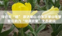 绿色充“植” 激活蒙山 山东沂蒙山龟蒙景区助力“绿满沂蒙”生态建设