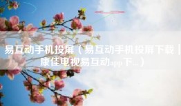 易互动手机投屏（易互动手机投屏下载｜康佳电视易互动app下...）