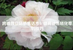 跨境独立站销售话术：提高销售转化率的技巧
