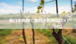 澳门手机网（澳门手机网络CTM）