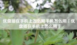优盘插在手机上怎么用手机怎么用「优盘插在手机上怎么用」