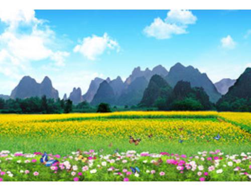 房地产公证上的卖房风险