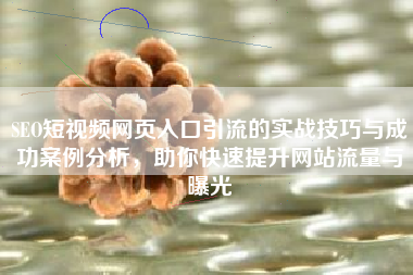 SEO短视频网页入口引流的实战技巧与成功案例分析，助你快速提升网站流量与曝光
