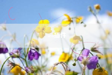 seo插件