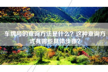 车牌号的查询方法是什么？这种查询方式有哪些具体步骤？