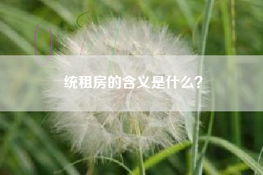 统租房的含义是什么？