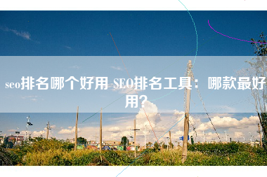 seo排名哪个好用 SEO排名工具：哪款最好用？