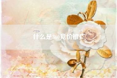 什么是360竞价推广